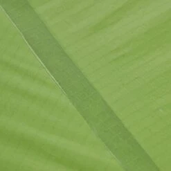 VAUDE LIZARD SEAMLESS 1-2P - Einpersonenzelt -Rausgehen 5637736447 af power lizard seamless 12p cress green vaude 24