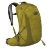 Osprey TALON EARTH 22 Unisex - Tagesrucksack -Rausgehen 5637959177 e talon earth 22 osprey 24